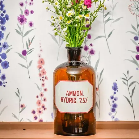 Bauernhof Dawna Apteka Old Pharmacy Wydminy