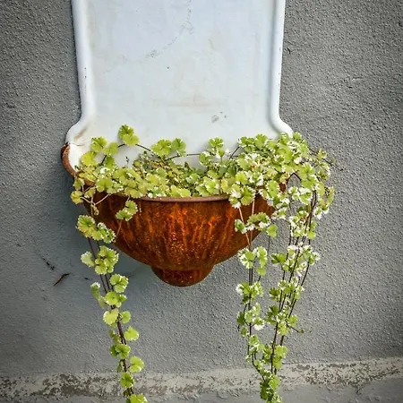 Dawna Apteka Old Pharmacy Bauernhof