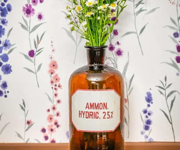 Vakantieboerderij Dawna Apteka Old Pharmacy Wydminy