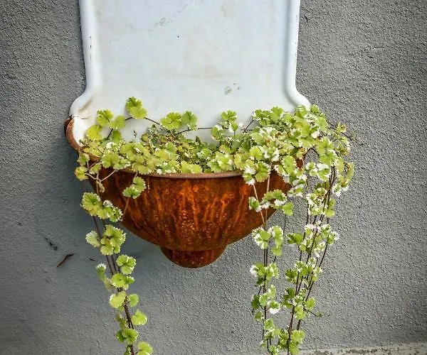 Dawna Apteka Old Pharmacy Фермерский дом